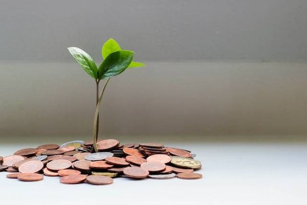 Quel est l'avantage fiscal du statut LMNP ?